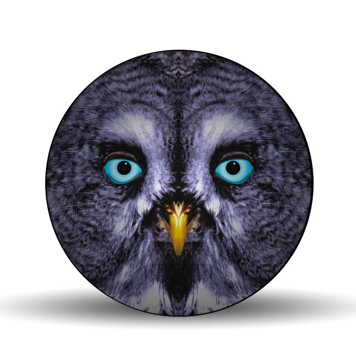 Owl Gaze <br>Glass Table Spinner 17.75"